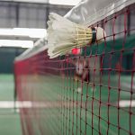 Pro's Pro Badminton Net